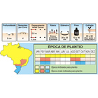 Sementes De Melancia Fairfax Pcte C/ 100 Gramas