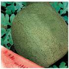 Sementes De Melancia Preciosa Topseed