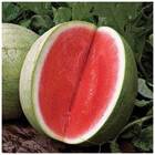 Sementes De Melancia Preciosa Topseed