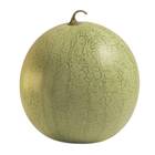 Sementes De Melancia Preciosa Topseed