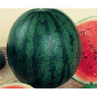 Sementes De Melancia Sugar Baby Pcte C/ 100 Gramas