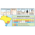 Sementes De Melão Caipira Pcte C/ 250 Gramas