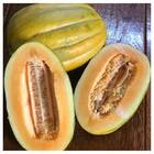 Sementes De Melão Gaúcho Comprido Feltrin