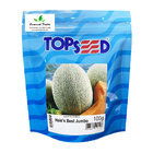 Sementes De Melão Hale's Best Jumbo Pcte C/ 100 Gramas