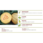 Sementes De Melão Híbrido Rio Grande F1 Env. C/ 1.000 Sementes