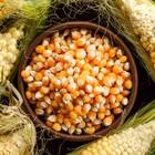 Sementes De Milho De Pipoca Blueline Topseed