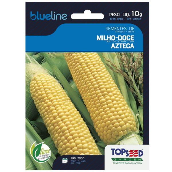 Sementes De Milho Doce Azteca Blueline Topseed