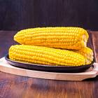 Sementes De Milho Doce Azteca Blueline Topseed