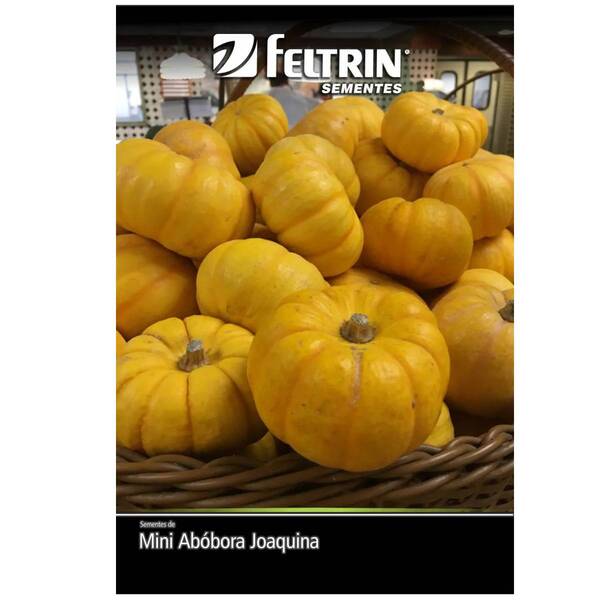 Sementes De Mini Abóbora Joaquina Feltrin