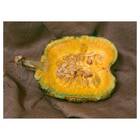 Sementes De Mogango Enrugado Barão Isla