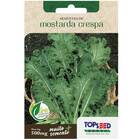 Sementes De Mostarda Crespa Topseed