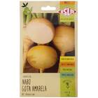 Sementes de Nabo (Gota Amarela) ISLA