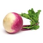 Sementes De Nabo Pêra De Colo Roxo Topseed