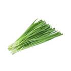 Sementes De Nirá [alho Japonês] Feltrin