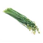 Sementes De Nirá [alho Japonês] Feltrin