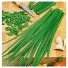 Sementes De Nirá [alho Japonês] Feltrin