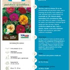 Sementes De Onze Horas (portulaca Grandiflora) Topseed