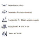 Sementes De Papoula Excelsior Sortida Env. C/ 1 Gramas