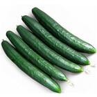 Sementes De Pepino Híbrido Nagai Japonês (800mg) Super Isla