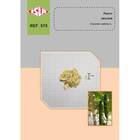 Sementes De Pepino Japonês Hiroshi Isla