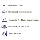 Sementes De Petunia Multiflora Ana Sortida Env. C/ 500mg