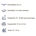 Sementes De Phlox Drummond Sortido Env. C/ 2 Gramas