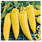Sementes De Pimenta Amarela Comprida Topseed