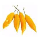 Sementes De Pimenta Amarela Comprida Topseed