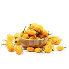 Sementes De Pimenta De Cheiro Luna Feltrin