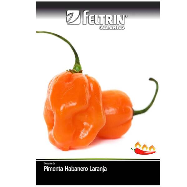 Sementes De Pimenta Miguelita (habanero Laranja) Feltrin