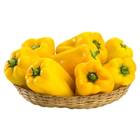 Sementes De Pimentão Amarelo Feltrin