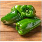 Sementes De Pimentão Cascadura Ikeda Topseed