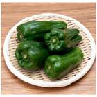 Sementes De Pimentão Cascadura Ikeda Topseed