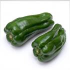 Sementes De Pimentão Cascadura Ikeda Topseed