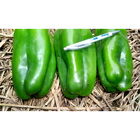 Sementes De Pimentão Híbrido Raquel F1 Env. C/ 1.000 Sementes