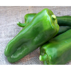 Sementes De Pimentão Híbrido Raquel F1 Env. C/ 1.000 Sementes