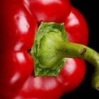 Sementes De Pimentão Rubi Gigante Feltrin