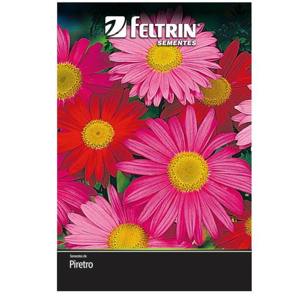 Sementes De Piretro Gigante (sortido) Feltrin