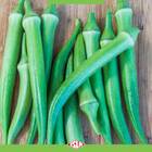 Sementes De Quiabo Santa Cruz 47 (100g) Isla