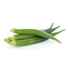 Sementes De Quiabo Valença Feltrin