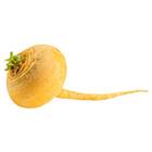 Sementes De Rabanete Aquiles (amarelo) Isla