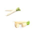 Sementes De Rabanete Branco Comprido Isla