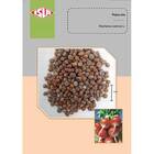 Sementes De Rabanete Hibrido Nº19 Super Isla