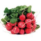 Sementes De Rabanete Hibrido Nº19 Super Isla