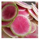 Sementes De Rabanete Quiron [melancia] Isla