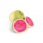 Sementes De Rabanete Quiron [melancia] Isla