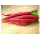 Sementes De Rabanete Vermelho Comprido Isla