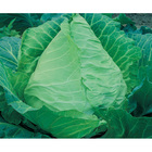 Sementes De Repolho Coração De Boi Pcte C/ 100 Gramas