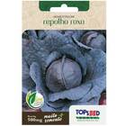 Sementes De Repolho Roxo Topseed