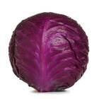 Sementes De Repolho Roxo Topseed